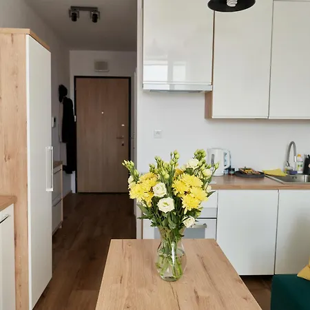 Apartment L66 Warsaw